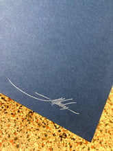 Aaron Horkey: Melvins / Oklahoma City 2006 (RAER)