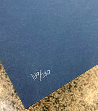 Aaron Horkey: Melvins / Oklahoma City 2006 (RAER)