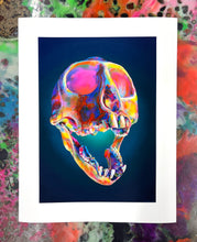 Wes Winship: Vervet Monkey Skull giclée print