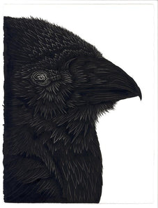 Thomas Hooper: Raven 7