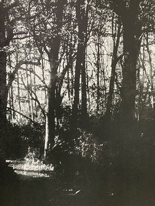 Ben LaFond: Another Times Forgotten Space