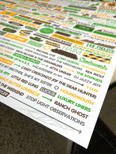 Mike Davis - Bonnaroo 2013 Artist Proof (RAER)