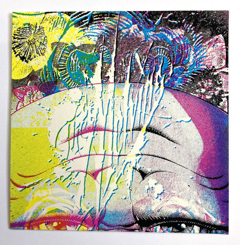 Melvins: Pigskin / Starve Already 7