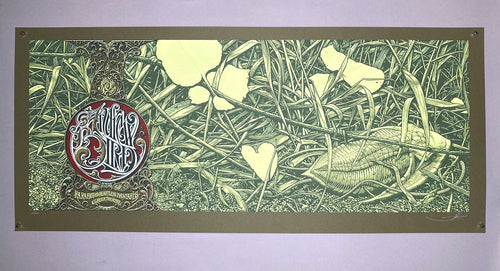 Aaron Horkey: Andrew Bird - Greek Theatre 2009
