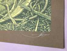 Aaron Horkey: Andrew Bird - Greek Theatre 2009