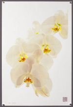 Joanne Chow Winship "Third Generation" print