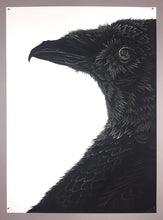 Thomas Hooper: Raven 8