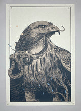 Richey Beckett: Red-Tailed Hawk (RAER)