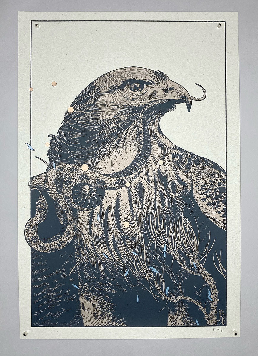 Richey Beckett: Red-Tailed Hawk (RAER)