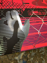 Vizie: Hanging On The Fence / Chrome Paper variant (RAER)